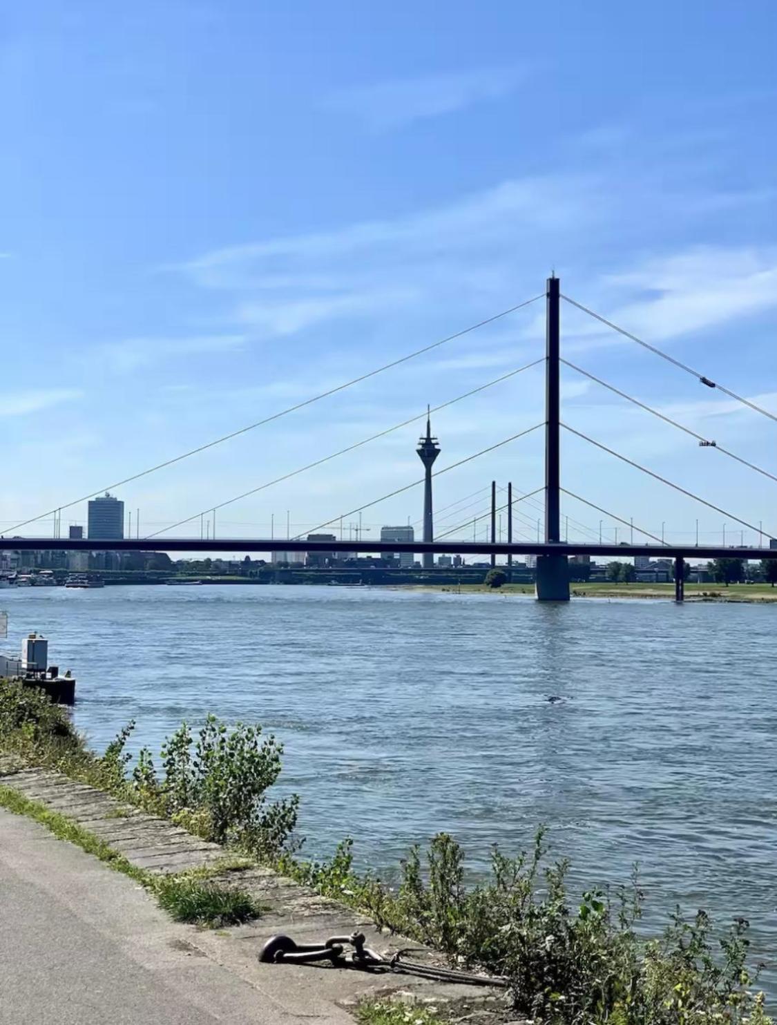 Transi The Luxuszelt